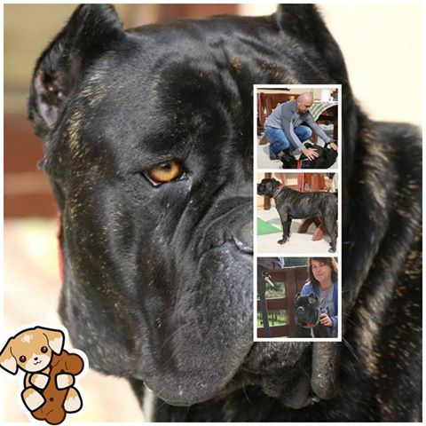 Neera w odwiedzinach